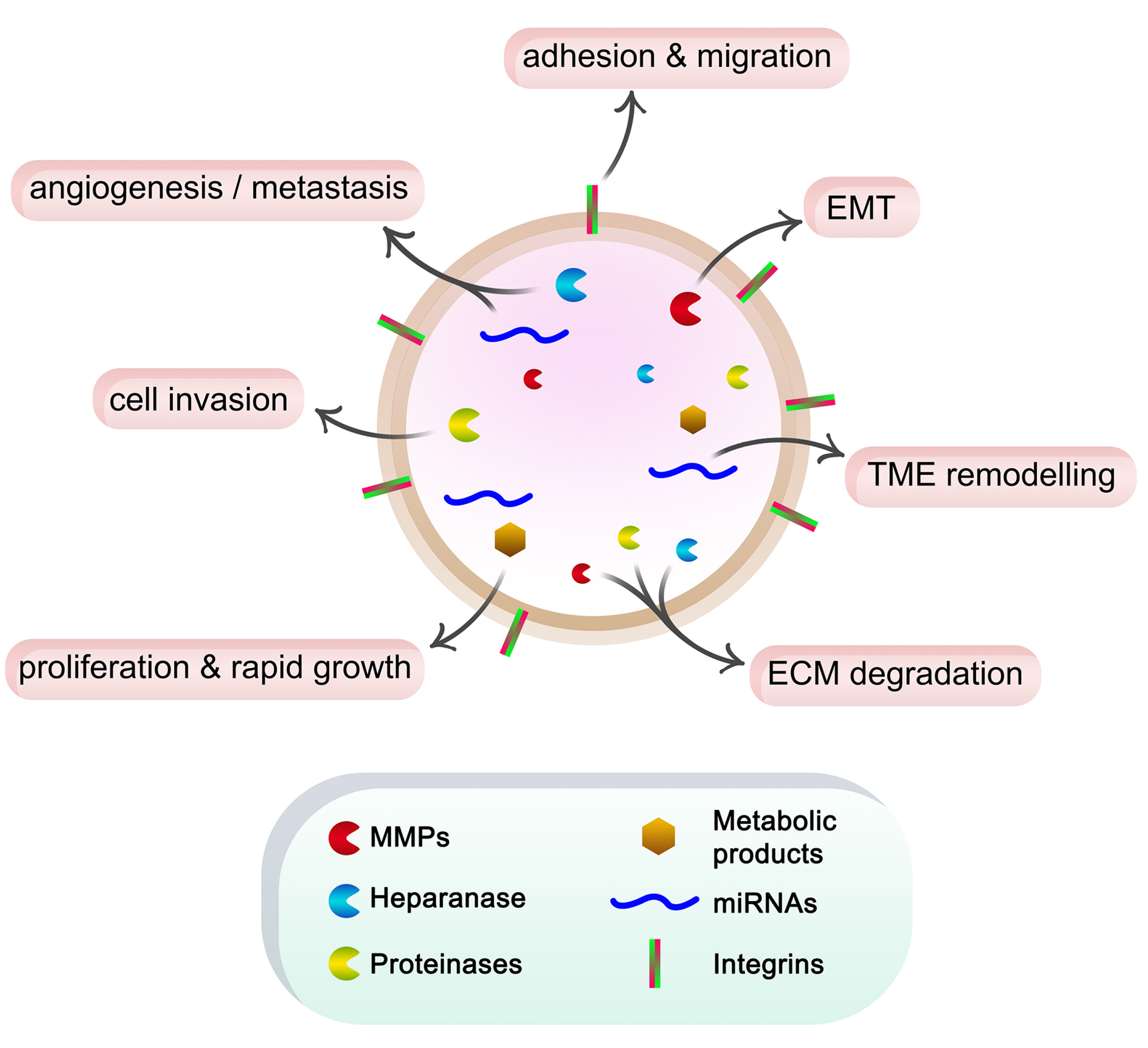 Subscribe to Biochimica et Biophysica Acta: Reviews on Cancer