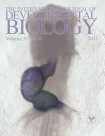 Cover Vol. 55 N. 6